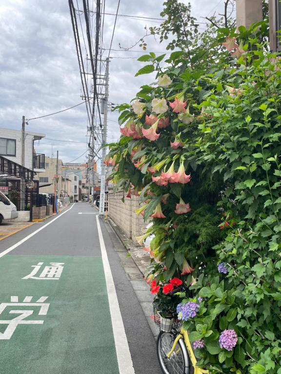 新宿庭院の屋-Shinjuku Garden Home -28 square meters king size bed garden room