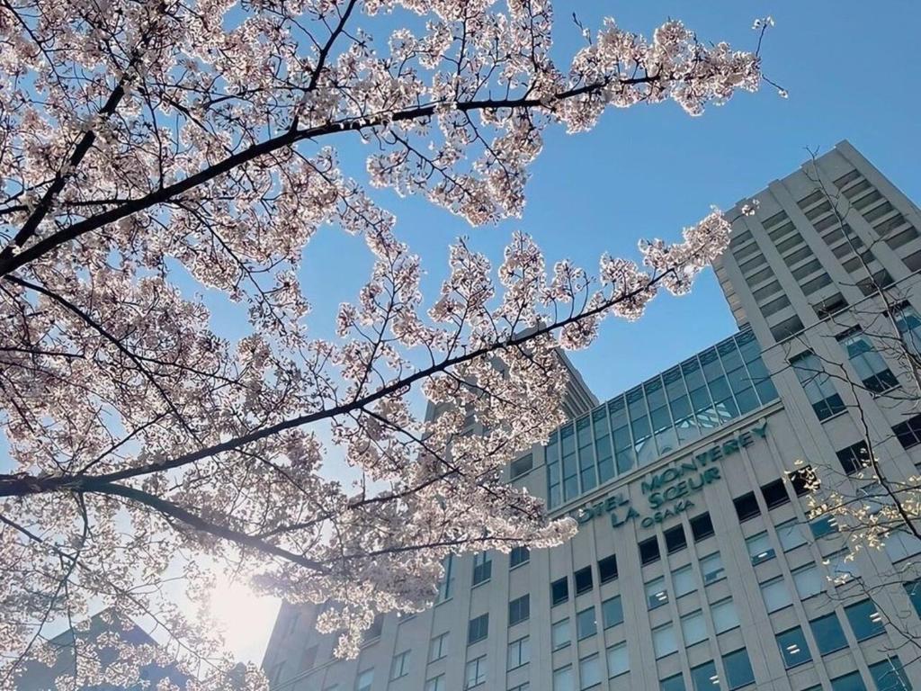 SARASA HOTEL なんば