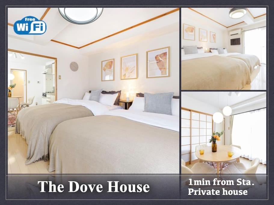 The Dove House